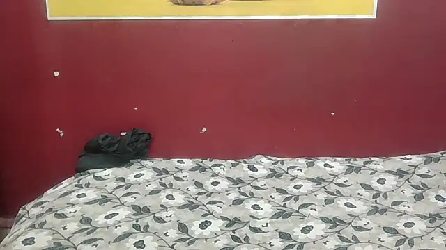 perfect-couple25 webcam