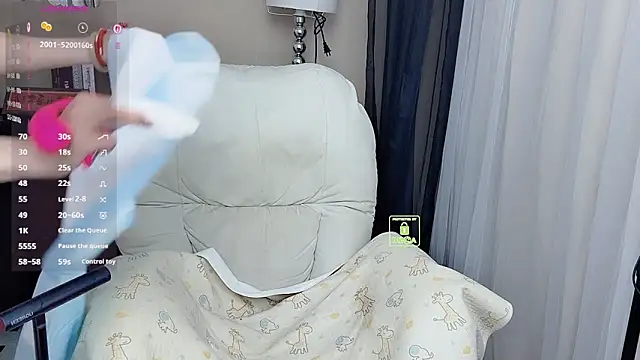 CeeKie webcam