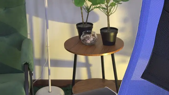 IndigoFae webcam