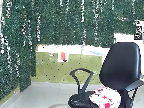 shallykaur webcam