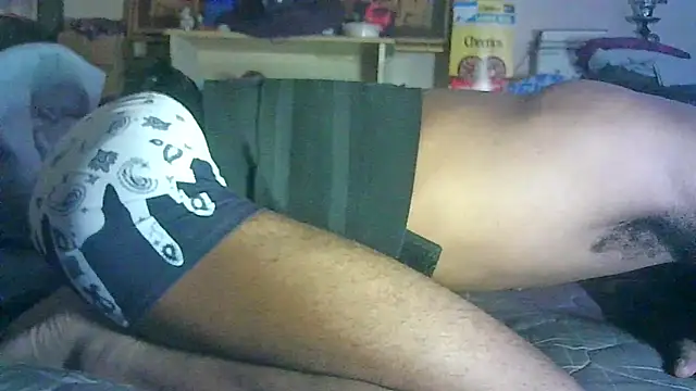 _P3RKY_IMMORTAL3_FIR3_ webcam