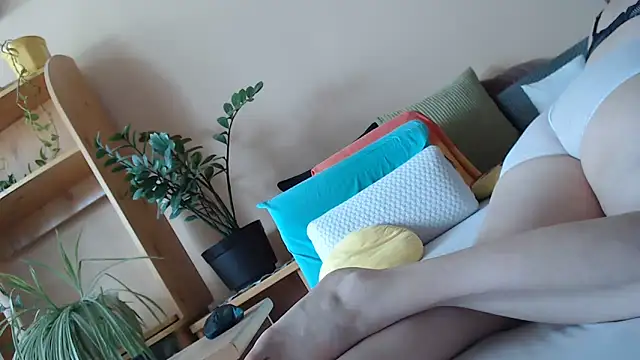 Dorina webcam