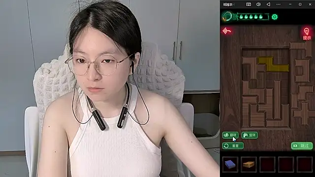 Erya-369 webcam