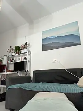 OdriOlsens webcam