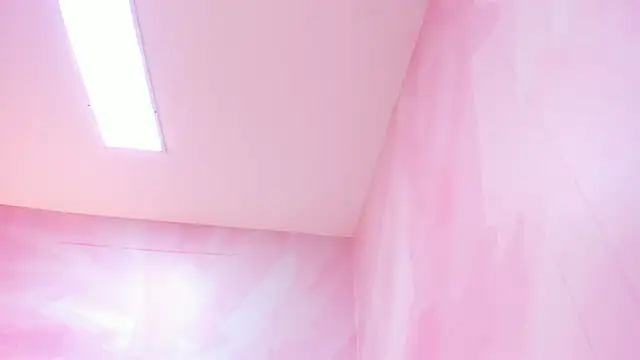 Beella1_ webcam