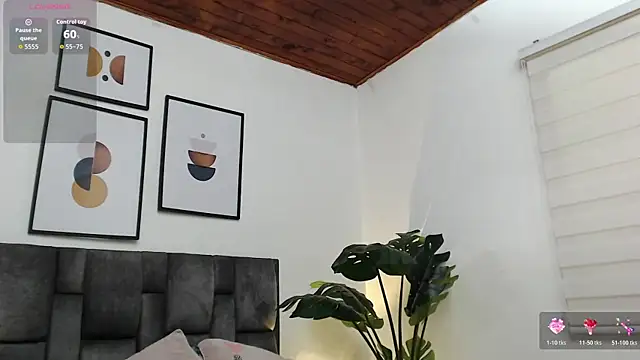 samy_l webcam