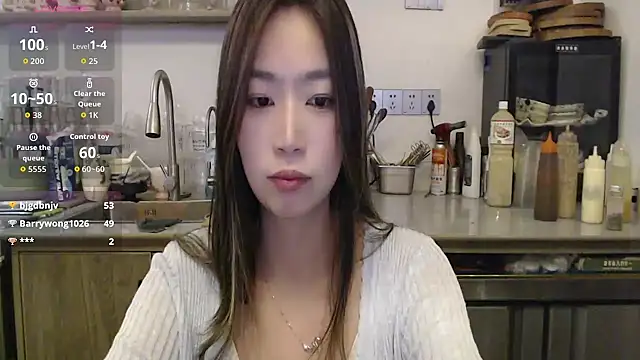 2026wq webcam