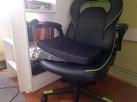 feathersify webcam