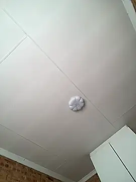 MILLIONDOLLARPUSSY95