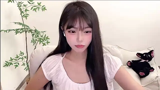 Kitteovo webcam