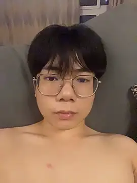 MMM-520 webcam