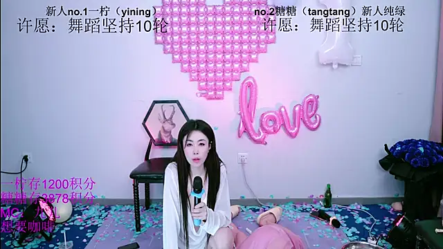 CCTW-200 webcam