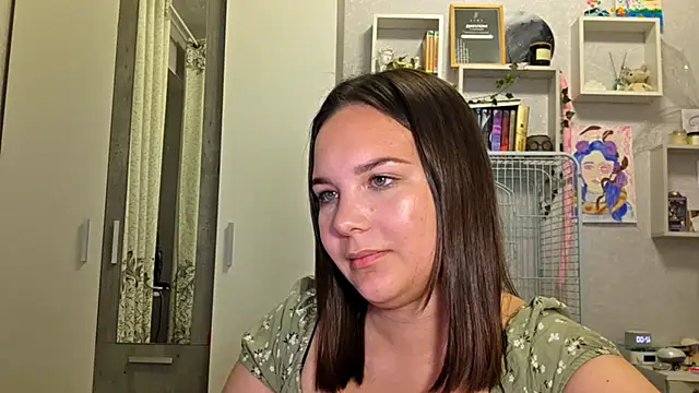 AtticNobel webcam