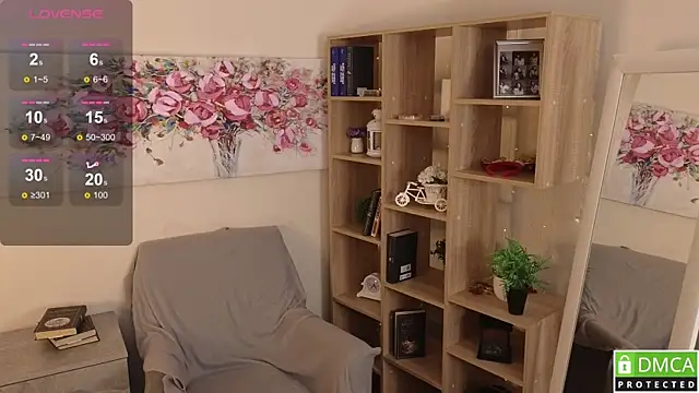 Sue_Sanders webcam