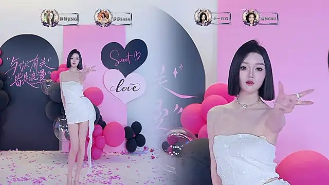 TY-002 webcam