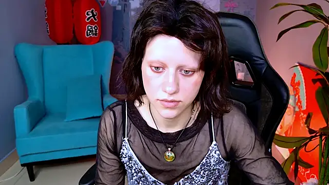 LidaDarknet webcam