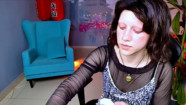 LidaDarknet webcam