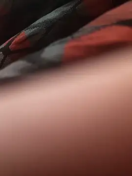 BigD9331 webcam