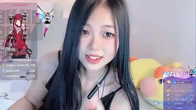 Noelle-2007 webcam