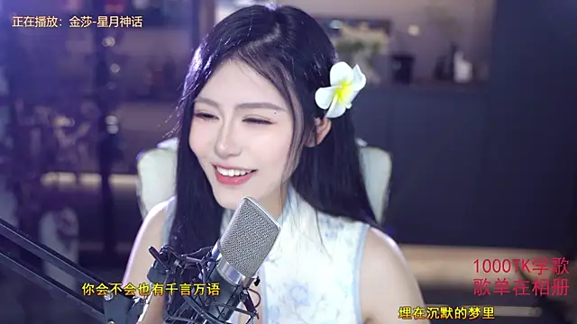 Seraphinei webcam