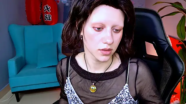 LidaDarknet webcam