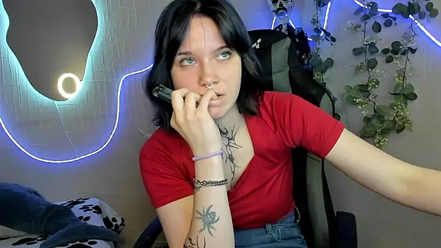 Elastikisss webcam