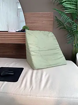 HannaaMiller webcam