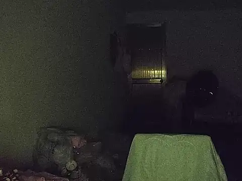 RebelAura webcam