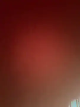 DarkfleX webcam
