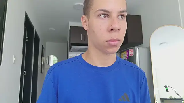 grey___27 webcam