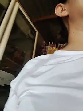 MIA-LARIOS webcam