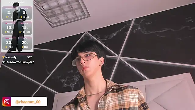 AerumChae webcam