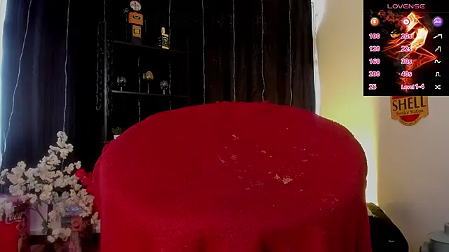 anuvyz_miller_ webcam
