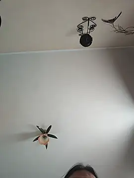 vulpe8400 webcam