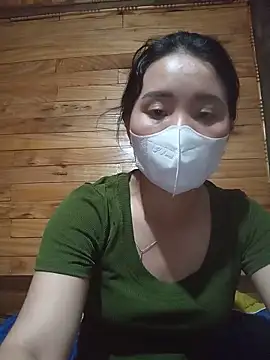 Td3di webcam