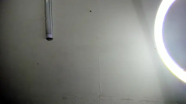 Alejandra_and_James_ webcam