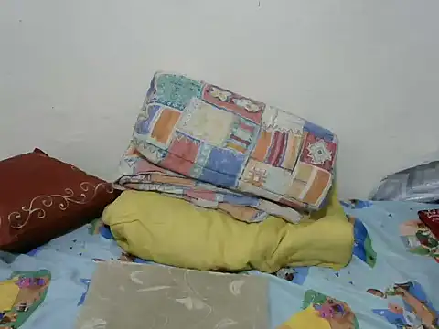 playfullnova webcam