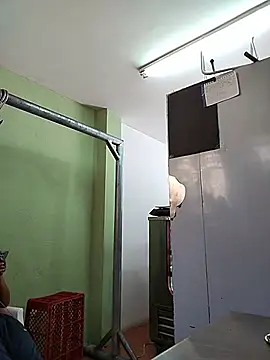 rouse_lux webcam