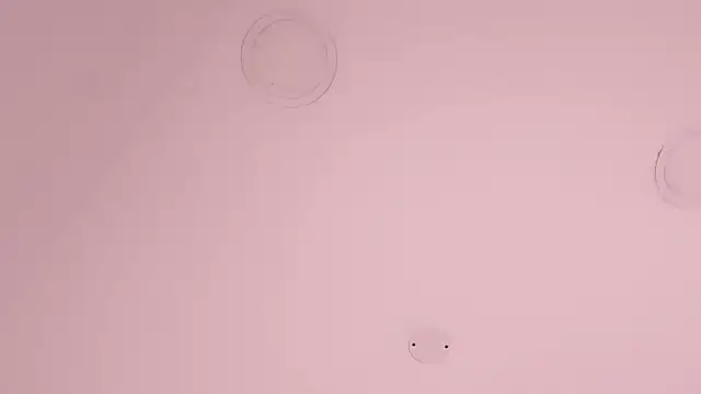 KatherineRuiz_ webcam