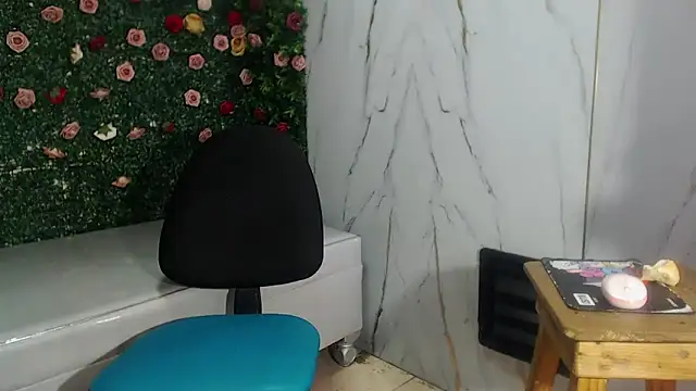 ManSant webcam