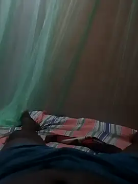 Bullboy99 webcam