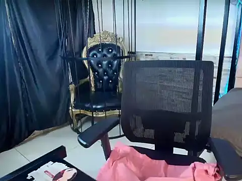 vanestone webcam