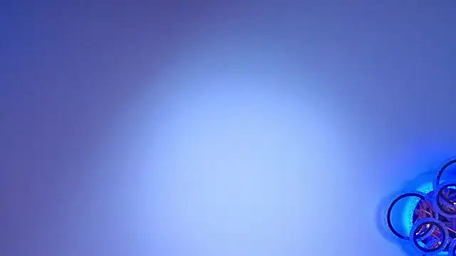 PerryKitty webcam