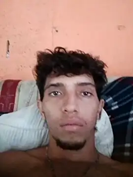 Noscay webcam