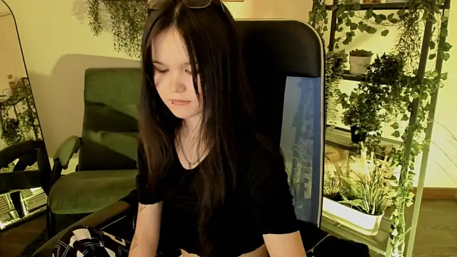 Elainebeness webcam