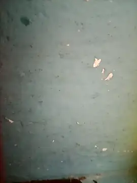 boudiroy webcam