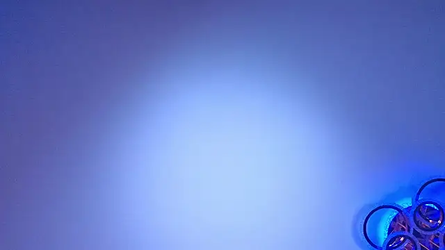 PerryKitty webcam