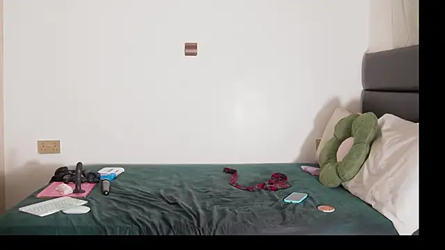 _Watuluv_ webcam