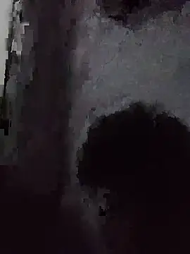 Rkrn1204 webcam