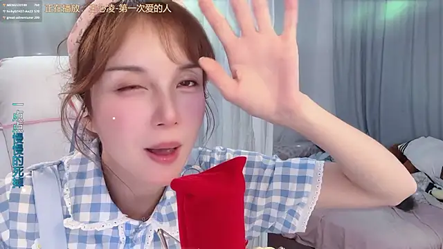 hi-AnAn webcam